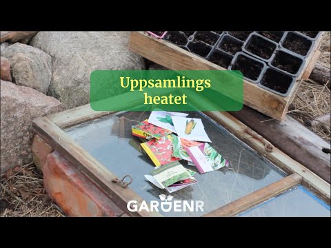 Söndagssådden - Uppsamlingsheatet - Trädgårdshacks med GardenR