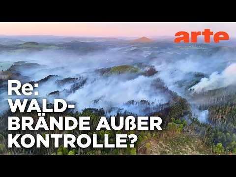 Video Thumbnail: Nationalparks, Brandherde und Naturparadiese? | ARTE Re: