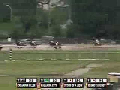 Miss Preakness S. 2008