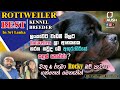 Chathu Ruma Rocky බව්වා ගත්තෙත් මෙතැනින් Rottweiler Dog Sinh