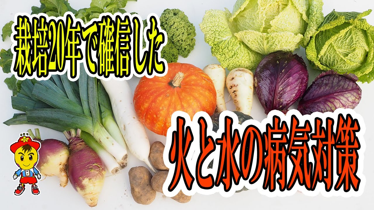 【自然栽培】病気や虫を防ぐ根本的な考え方とは？「火と水」のバランスと土・種の清浄化