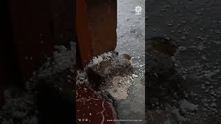 ❄️ Así se vio el centro de Morelia tras la granizada