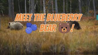 Meet the Blueberry 🫐 Bear 🐻! (This Bear LOVES Blueberries)