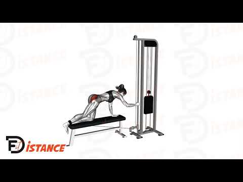 Exercice Kickback - Extension des fessiers sur banc
