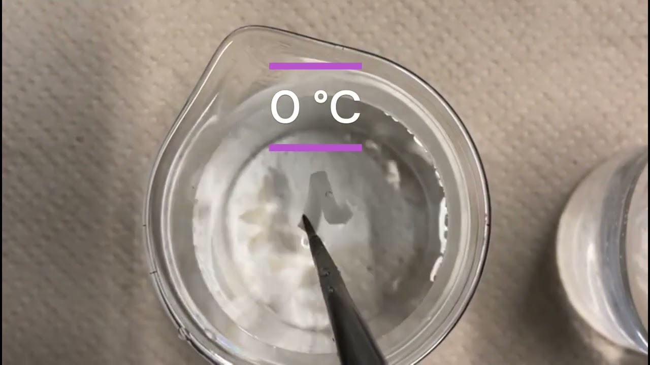 Two-way shape-memory effect