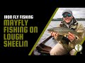 Mayfly fishing on Lough Sheelin | Iron Fly Fishing