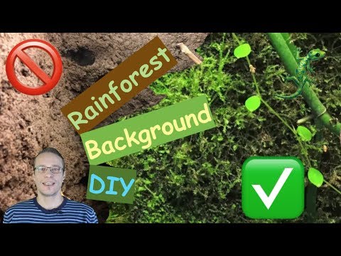RainForest Background DIY | Terrarium Rückwand selber machen