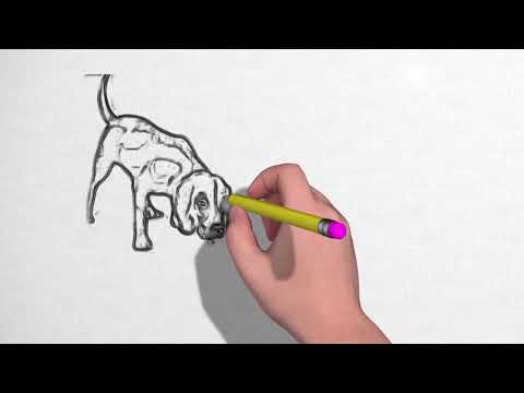 REVIVED - PROVERBS 26