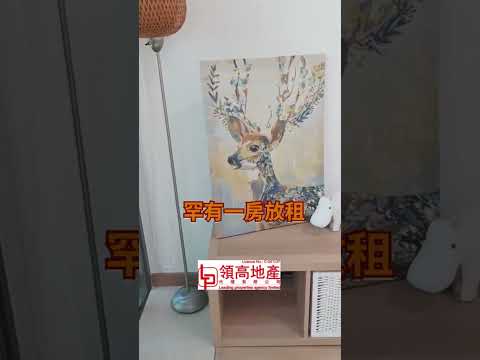 The Austin Youtube Video