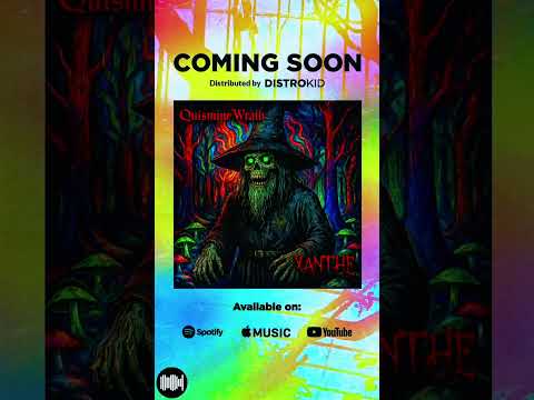 #indieartist #applemusic #youtubemusic #distrokidartist #upcomingartist #guitar #chicago #music