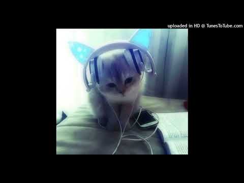 (free)midix x sqwore x 02ashes dnb/glitch/hyperpop type beat