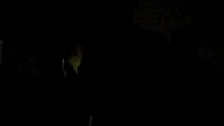 Holiday Parade- Where Did I Go