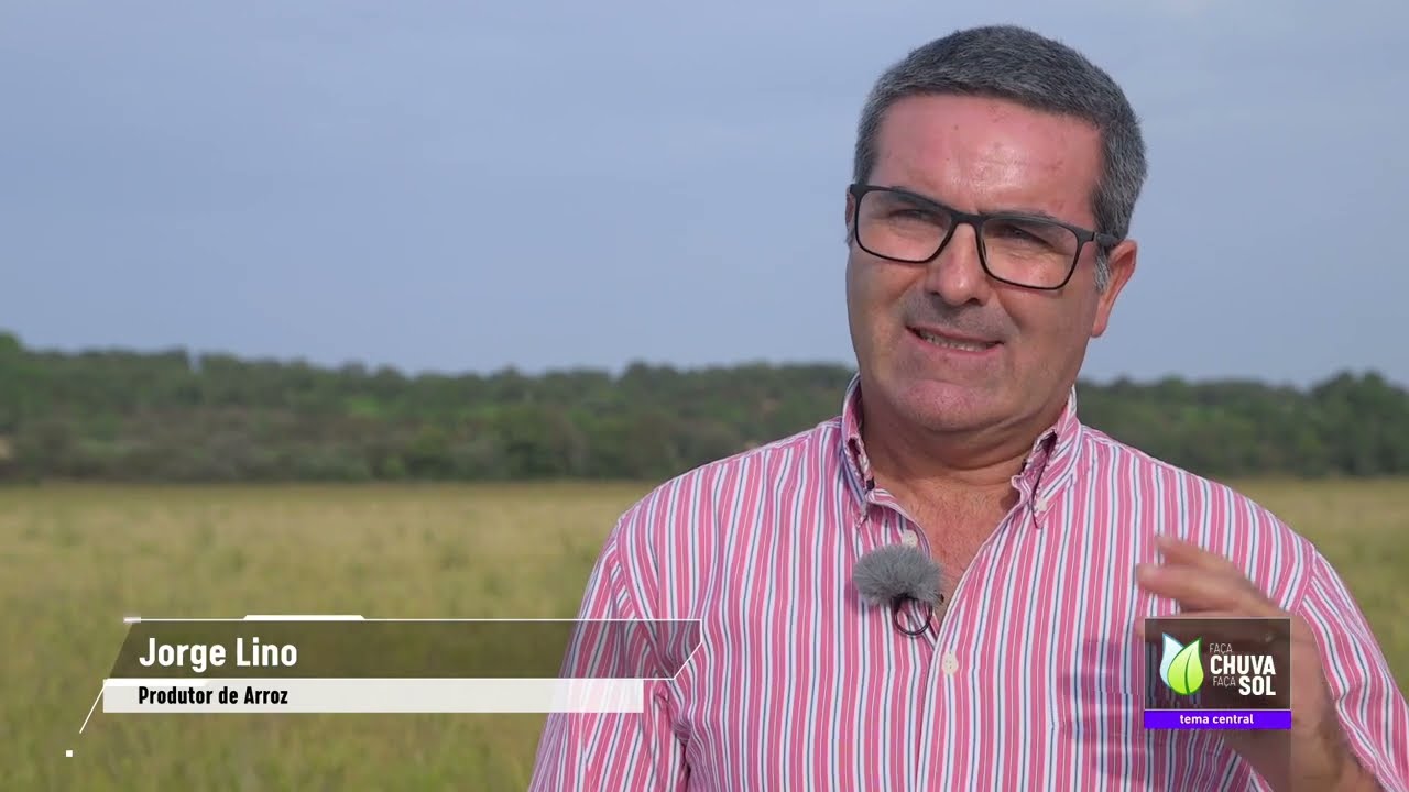 Produção de Arroz em Portugal