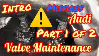 Time to Clean the Intake Valves? (Tfsi talk) carbon buildup (valve deposits) misfires 2.0t 3.0t 4.2l