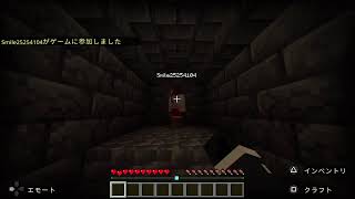 マイクラ ライブ　ホラーワールド 課金マップ 整地・作業  常連の生存確認配信