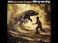 Surviving A Komodo Dragon Attack