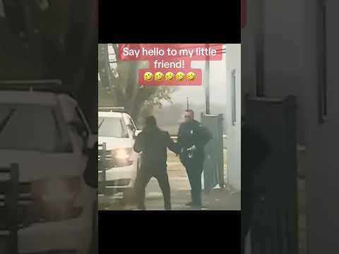 WILD K9 takedown! FAFO!#k9 #policedog#gsd