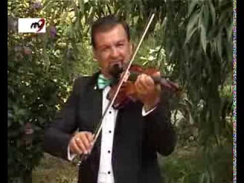 Stefan  Cigu -  Caruta  postei