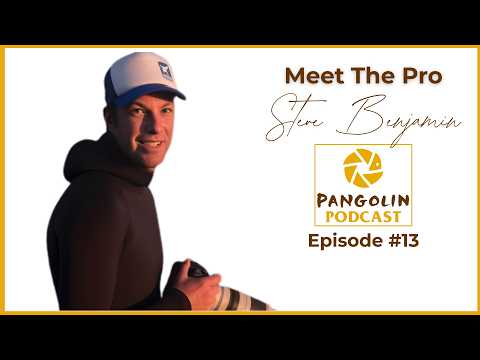 Pangolin Wildlife Photography and Animal Ocean