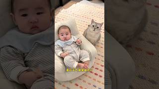 Download lagu Bikin sandal buat oreo dan dede bayi 👶🐈 #kucinglucu mp3