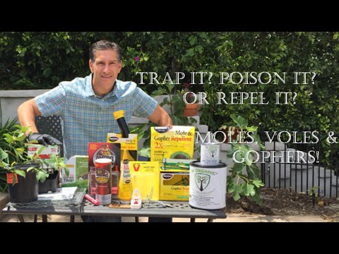 モグラ、ハタネズミ、ホリネズミ: 罠?毒？それとも忌避剤？生物学者のチャールズ・J・マルキ氏が解説