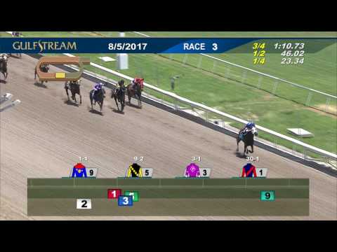 Gulfstream Park Race 3 | August 5, 2017