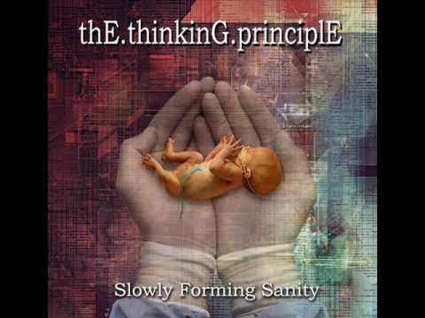 'THE THINKING PRINCIPLE - 'Recording Into Memory'. MELODIC TECHNICAL METAL