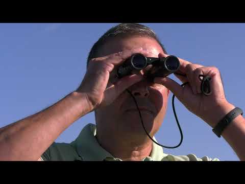 Official Video | 20 Years of the Litoral Norte Natural Park