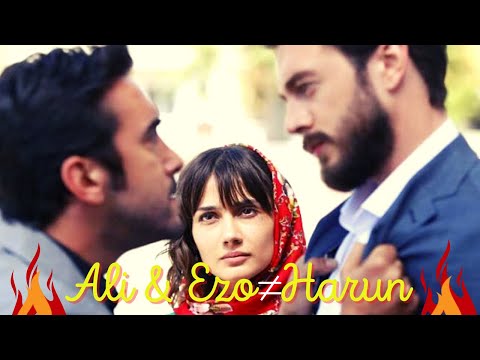 Ezo & Ali 💔🔗 Harun || ELKIZI ✦ Destino