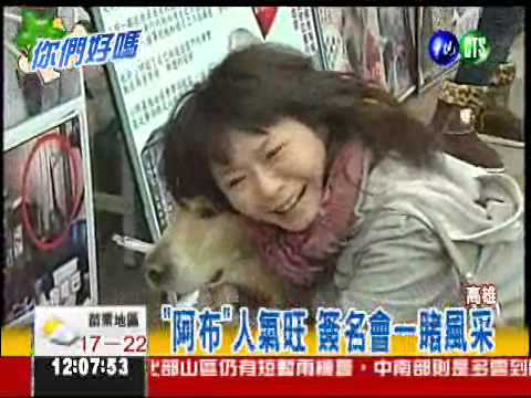 差點安樂死! "阿布"人氣狗