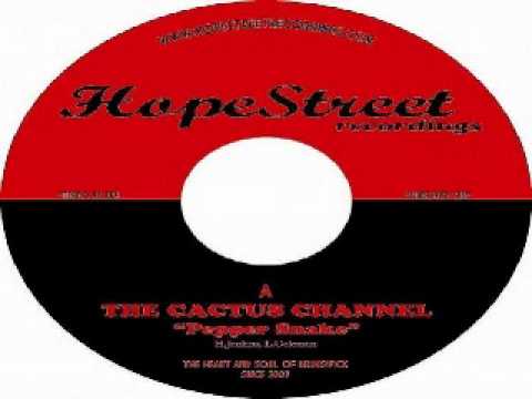 The Cactus Channel- Pepper Snake ( original).wmv