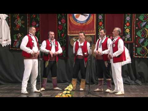 Krajiski biseri 2014 - KUD Dr Mladen Stojanovic - Dva nevena plava