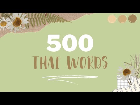 401 - 420 | 500 TỪ VỰNG TIẾNG THÁI THÔNG DỤNG (Có ví dụ)