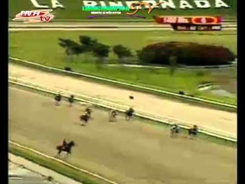 LA RINCONADA 6 CARRERA DOMINGO 23 DE NOVIEMBRE DEL 2014