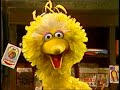 1529 Big Bird Talks Very Loud