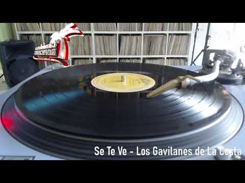 Se Te Ve - Los Gavilanes de la Costa