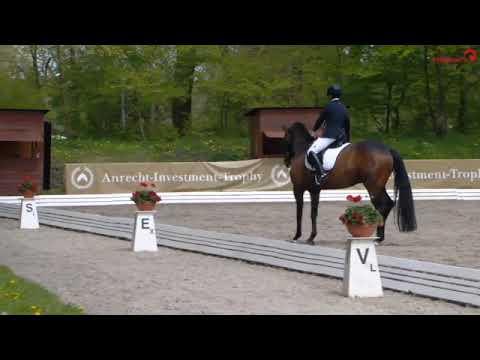 Don Matteo -  Sarah Waldsperger - Schenefeld