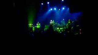 Magic Numbers - Bacardi - Long Legs