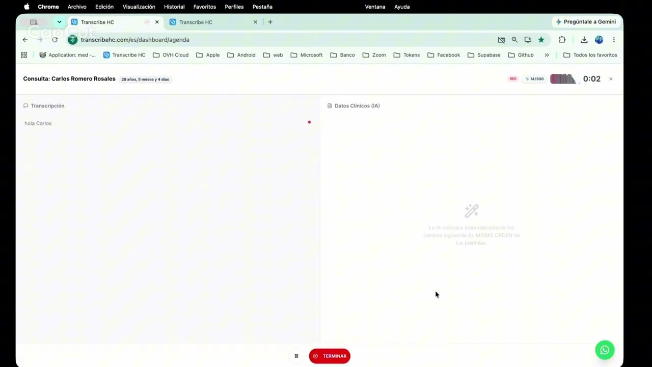 Video demo preview