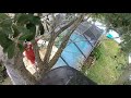 Structure Clearance Oak Trim In Cape Coral Fl Elite Tree Services 239 628 2747