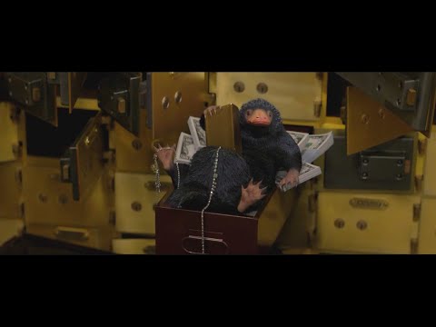 The Niffler Scene | Bank Robbery | The Fantastic Beast & Where To Find Them (2016) Movie Clip