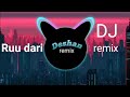 Ruu Dari Song DJ Remix