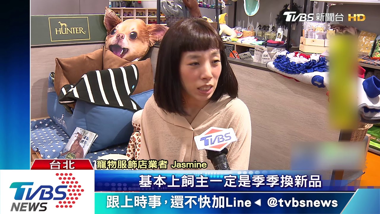 不生孩、養寵物增! 飼主買衣、娛樂月花萬元