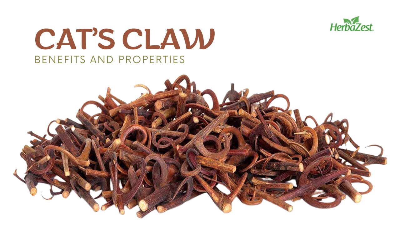 Cats Claw -. Herbazest
