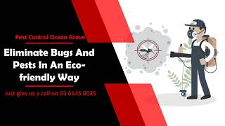 Eliminate Bugs And Pests In An Eco friendly Way | Pest Control Ocean Grove