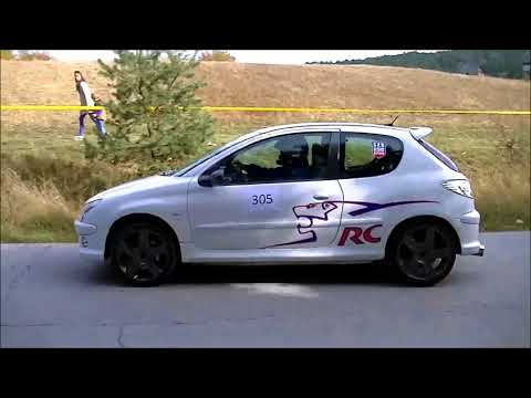 Milan Janjic - Nagrada Bajine Baste 2017 - Peugeot 206 RC
