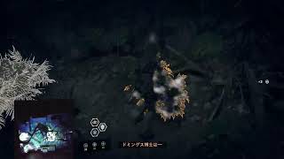 ＃6　3Dマッピング　シャドウオブザトゥームレイダー　184周目縛りプレイ