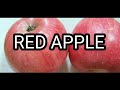 SLICING RED APPLE SATISFYING VIDEO