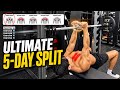 The Ultimate 5 Day Workout Split Chest Back Legs Shoulders Arms Workoutprogram Gymworkout