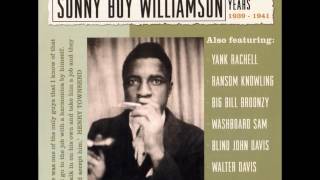 Sonny Boy Williamson, Welfare store blues